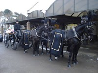Karen Bassett Carriage Driving and Horse Drawn Hearse 287204 Image 0